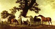 Pferde in einer Landschaft George Stubbs